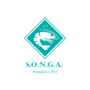 logo8